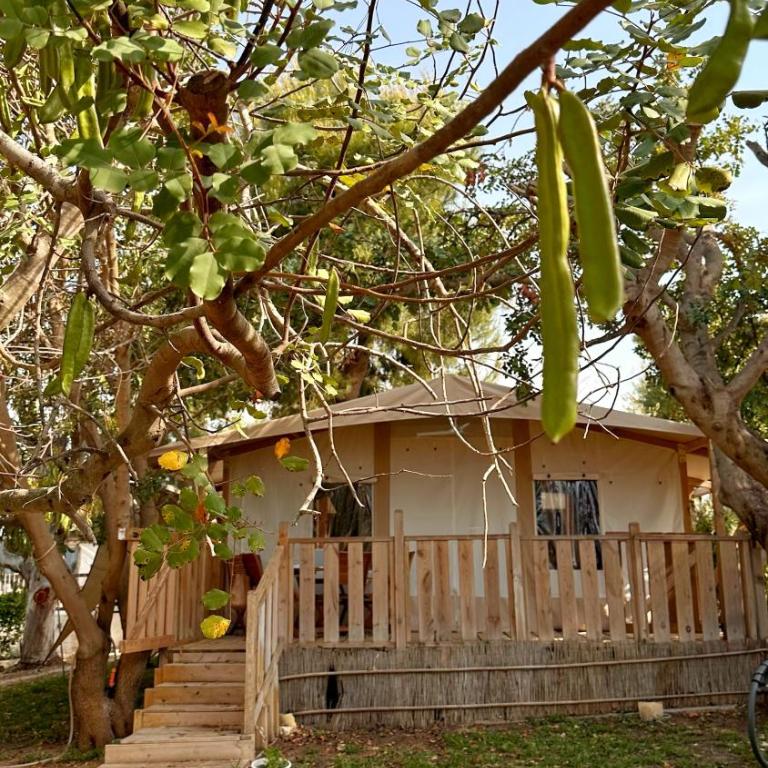 Ciriga Sicily Glamping - Tent Glamping Superior c - 17