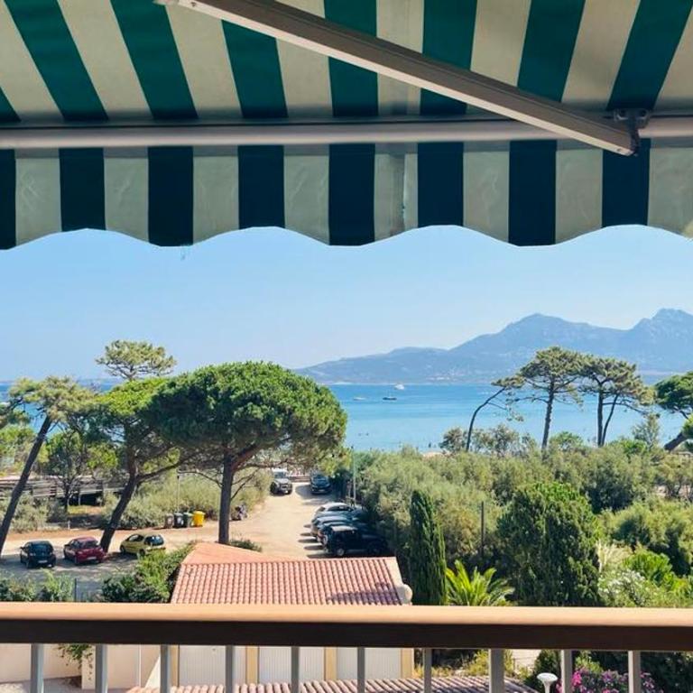Appartement 19 Les Carolines 2 Calvi - Appartement 1 Chambre - 1