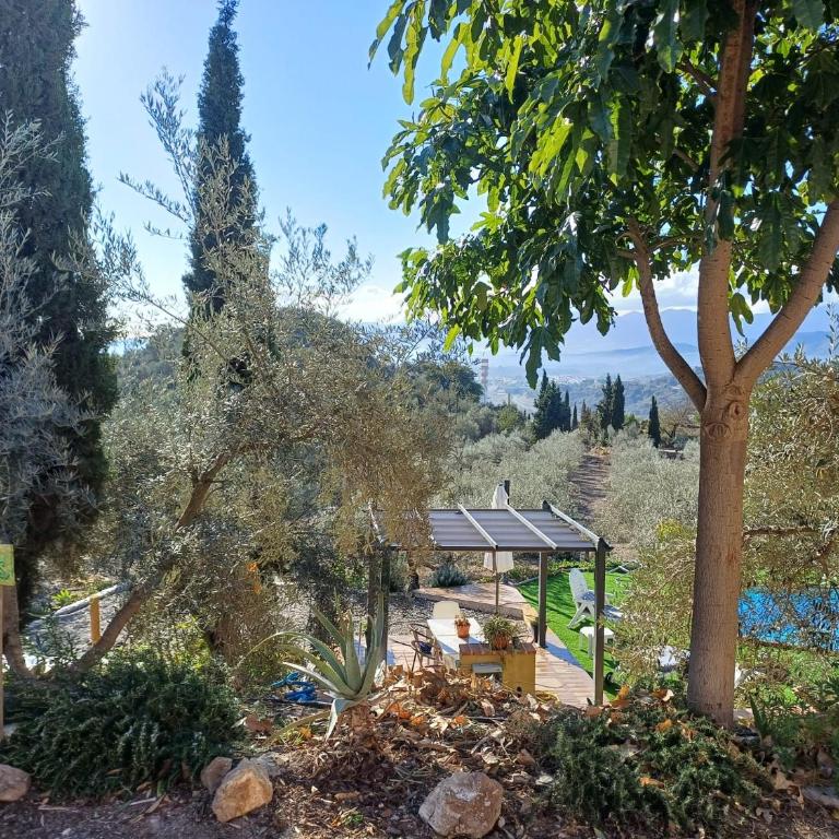 rural loft with pool views peaceful place near the center - Casa de 2 dormitorios - 8