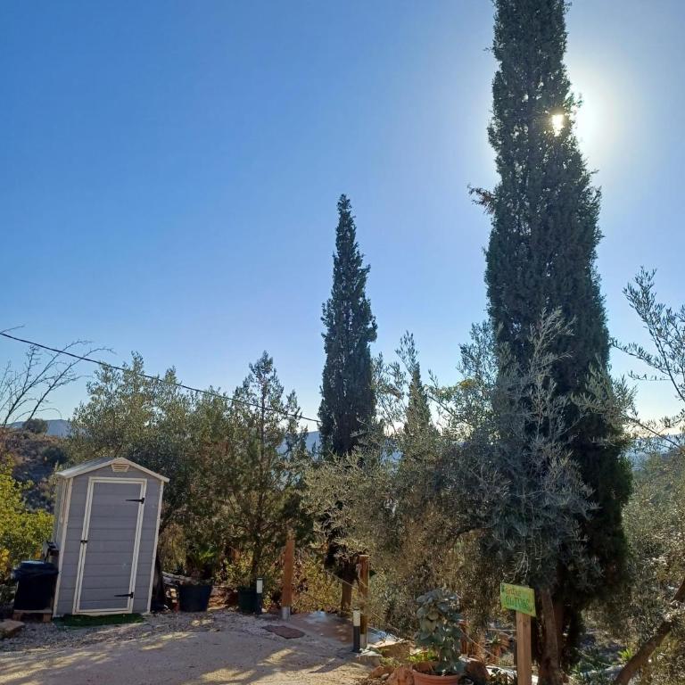 rural loft with pool views peaceful place near the center - Casa de 2 dormitorios - 24