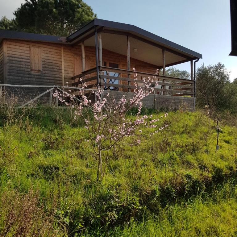 Agriturismo Le Rondini Di San Bartolo - Appartamento con 2 Camere da Letto - 12