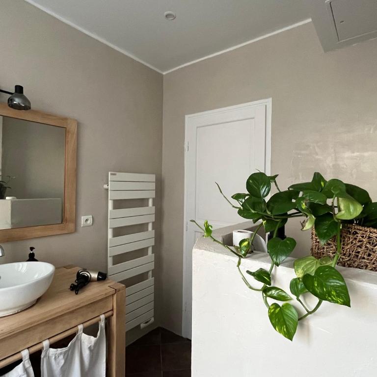 Lovely haussmannian flat in Montparnasse - Two-Bedroom Apartment - 3