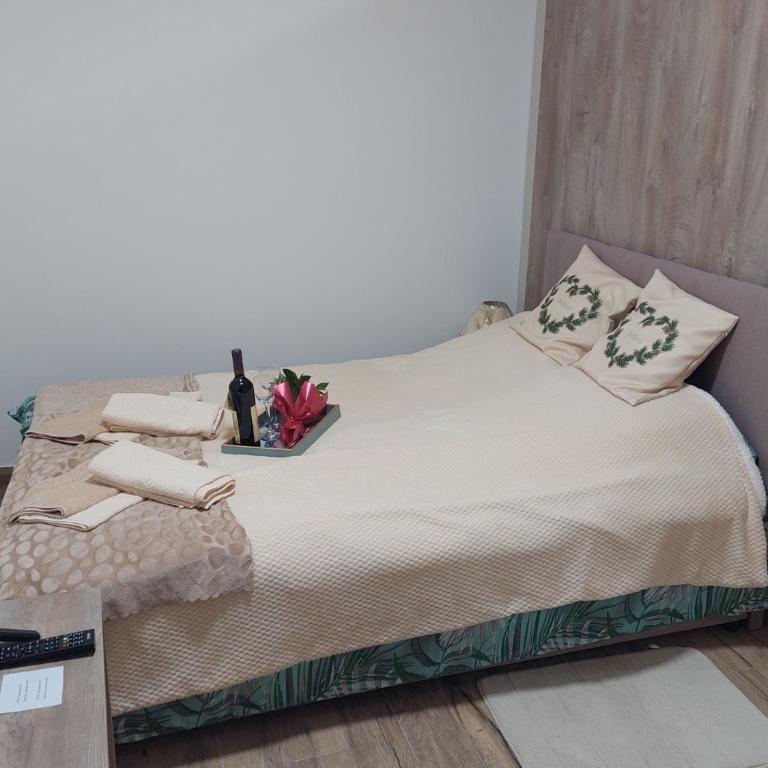 Apartman "LOLA" Kopaonik - Studio sa Bračnim Krevetom (King-size) - 16