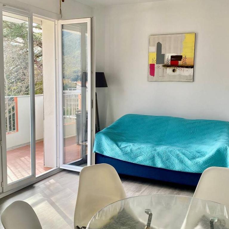 Appartement F2 avec terrasse, proche centre et cures - Amélie-les-Bains - FR-1-703-41 - Apartamento - 4