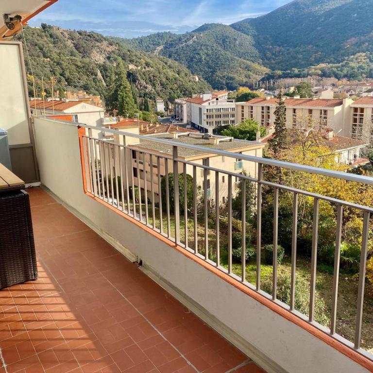 Appartement F2 avec terrasse, proche centre et cures - Amélie-les-Bains - FR-1-703-41 - Apartamento - 7