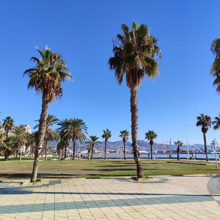 Sunny apartment next to the Beach ZE1 - Apartamento de 2 dormitorios - 11
