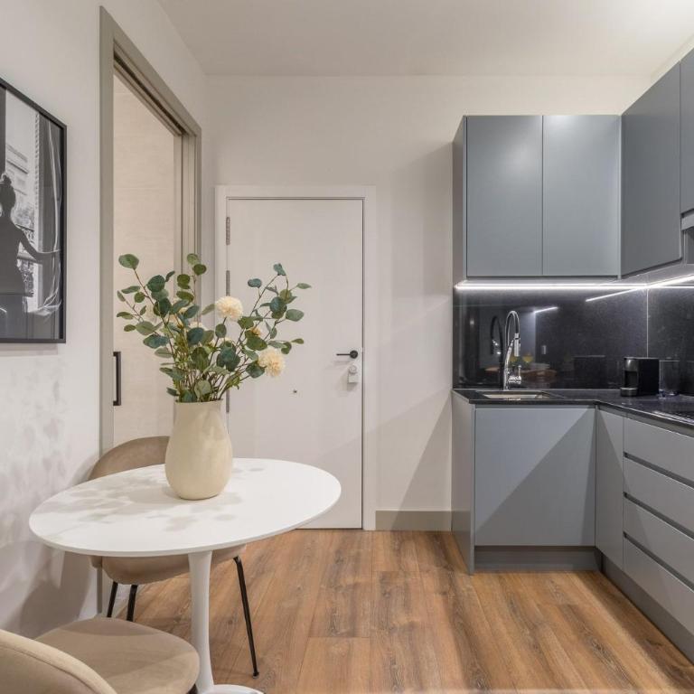 2 single beds in Chamberi - One-Bedroom Apartment - 5