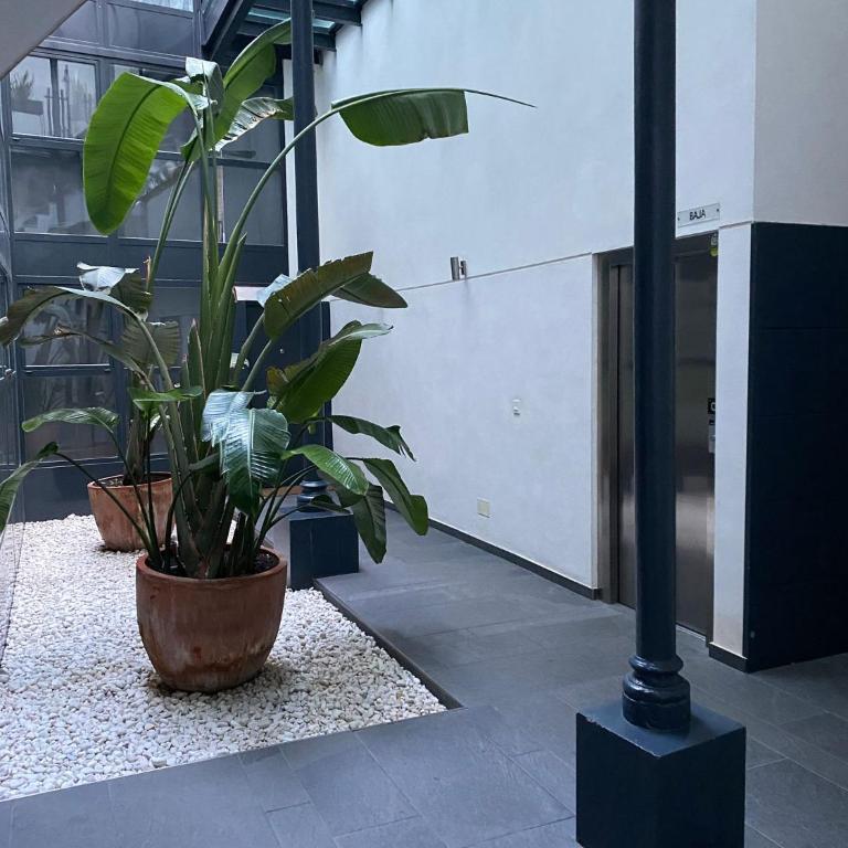 Moderno Duplex Sevillano - Apartamento de 1 dormitorio - 2