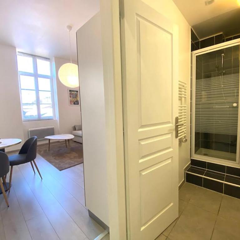 T2 Cocooning au coeur de Vienne - Apartment mit 1 Schlafzimmer - 13
