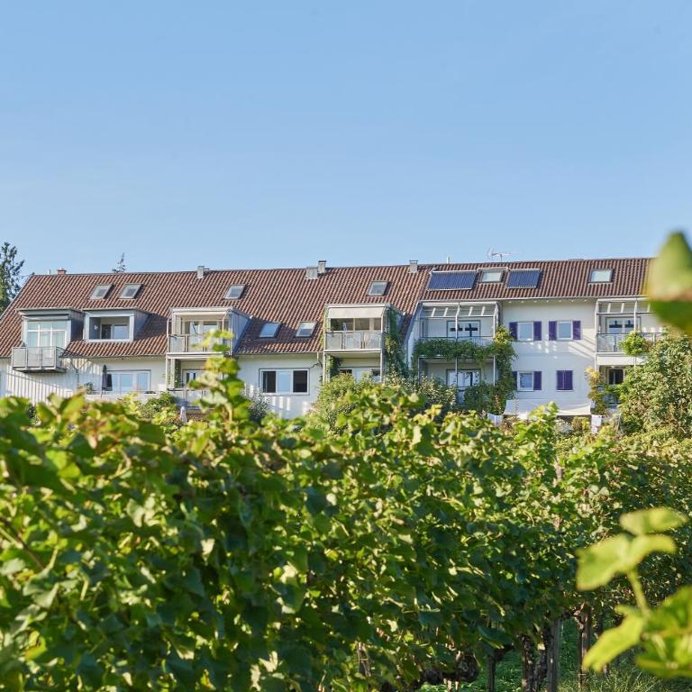 Ferienwohnungen Weingut Deufel - Apartment - Ground Floor - 3