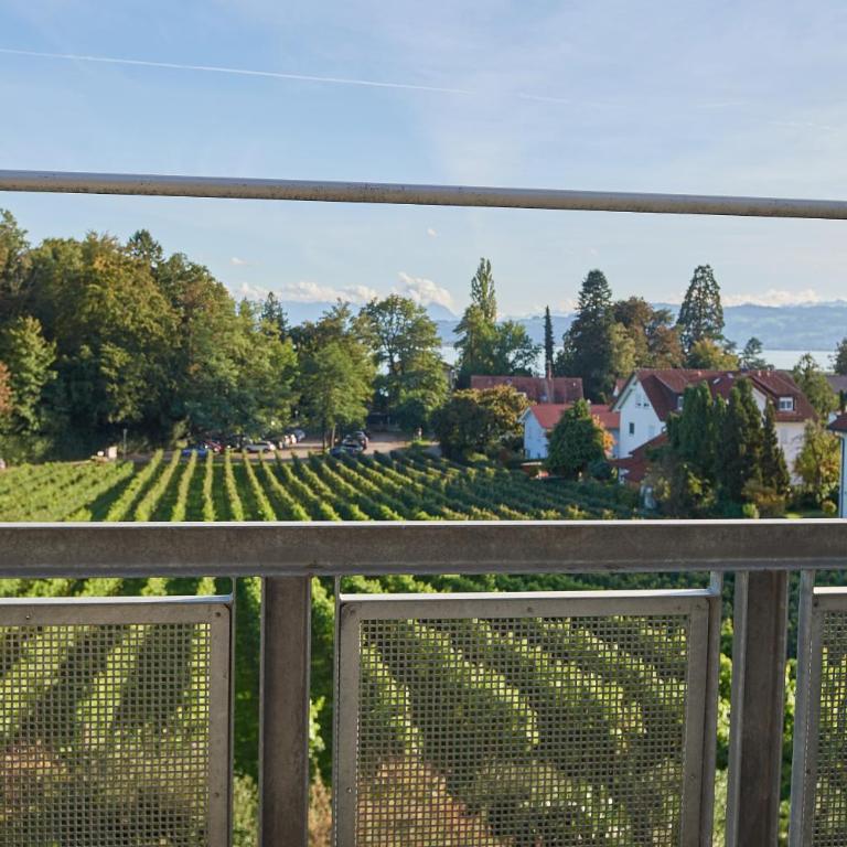 Ferienwohnungen Weingut Deufel - Apartment - 1