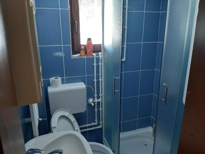 Vikend kuća Vukašinović - Two-Bedroom House - 2