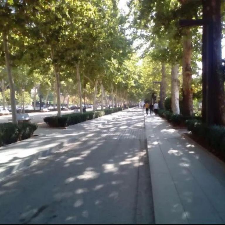 Hogar del Lirio - Three-Bedroom Apartment - 27