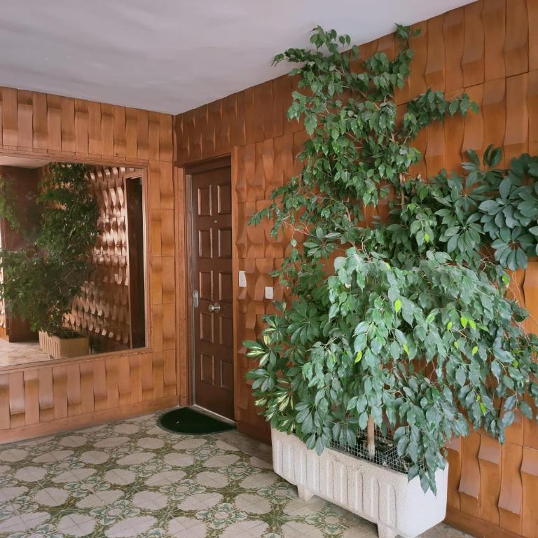 Precioso estudio primera linea Fossa-Puerto Calpe - Apartamento de 1 dormitorio - 25