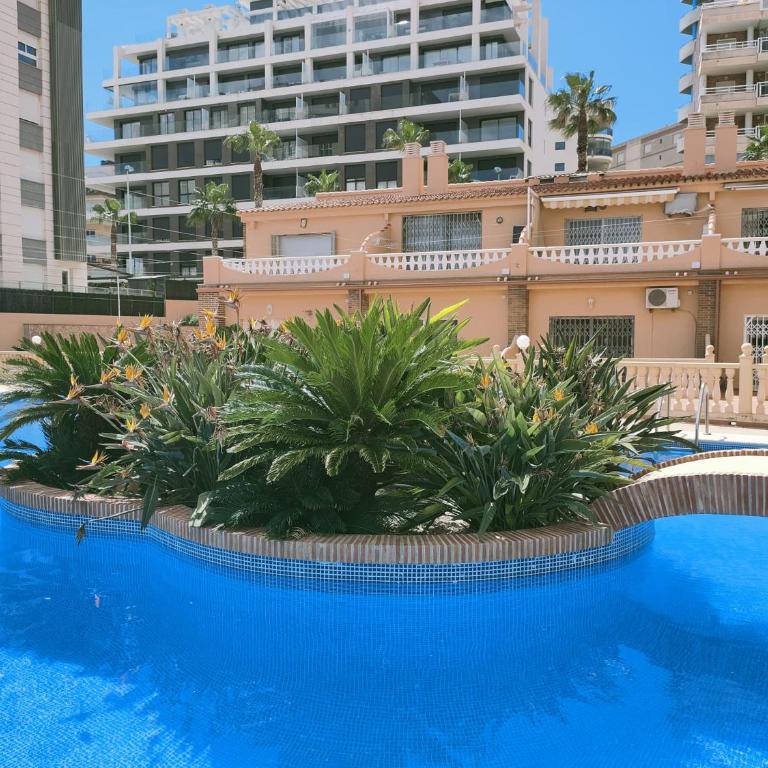 Precioso estudio primera linea Fossa-Puerto Calpe - Apartamento de 1 dormitorio - 26