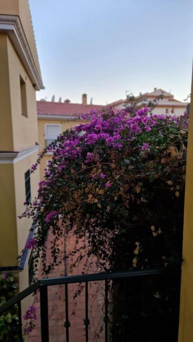 Sea view Garden Oasis (6-min walk to the Beach) - Apartamento de 1 dormitorio con balcón y vistas al mar - 22