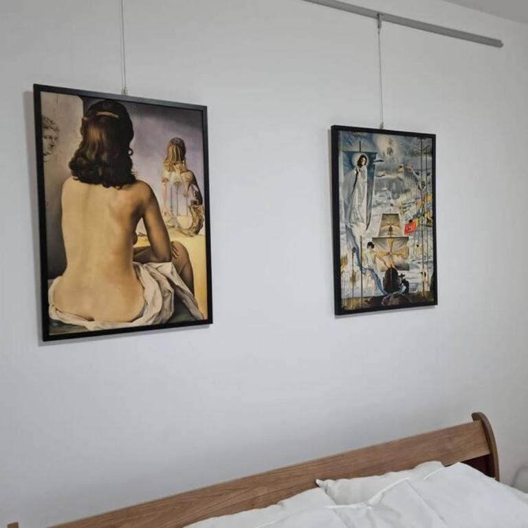 Dali Arena Business Comfort Apartment 2 Bedrooms King Size - Apartman sa 2 Spavaće Sobe - 11