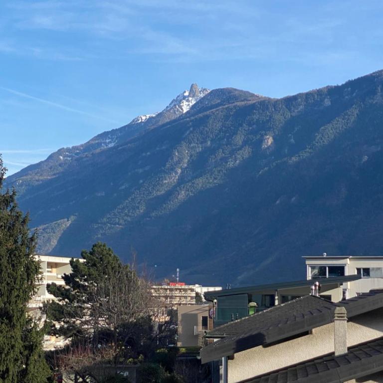 Studio Martigny Taoù - Apartment mit 1 Schlafzimmer - 13