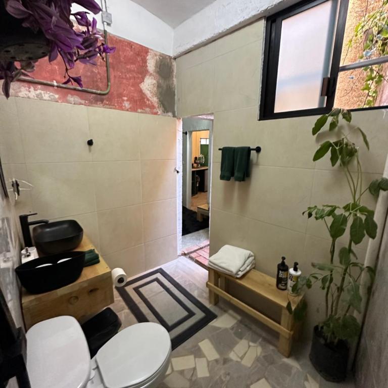 509 Accommodation - Queen Studio - 9