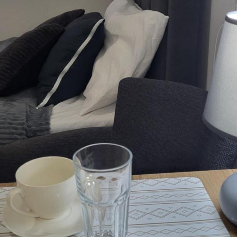 Studio Milica - Apartman sa 1 Spavaćom Sobom - 6