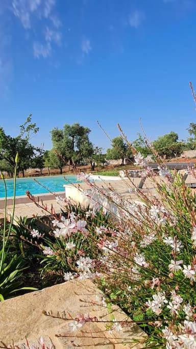 Villa con piscina LàMìa Donnagnora a Ostuni - Three-Bedroom House - 36