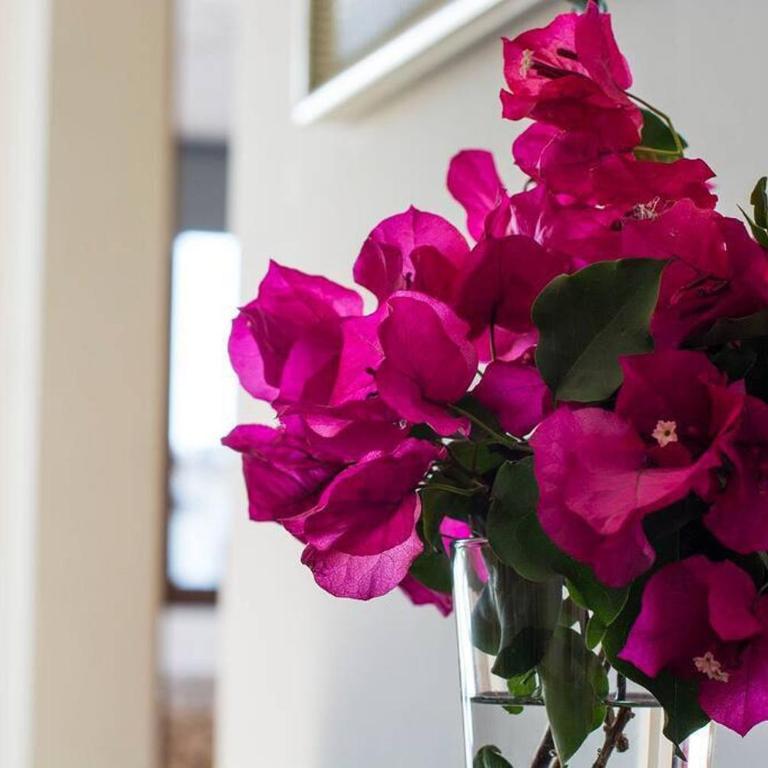 Apartamento 33, Frigiliana Spacious family Apartment with large Pool in the town center HansOnHoliday Rentals - Apartamento de 3 dormitorios - 13
