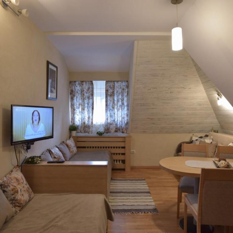 Konaci Kopaonik Lux Apartmani - Studio s Pogledom na Vrt - 3
