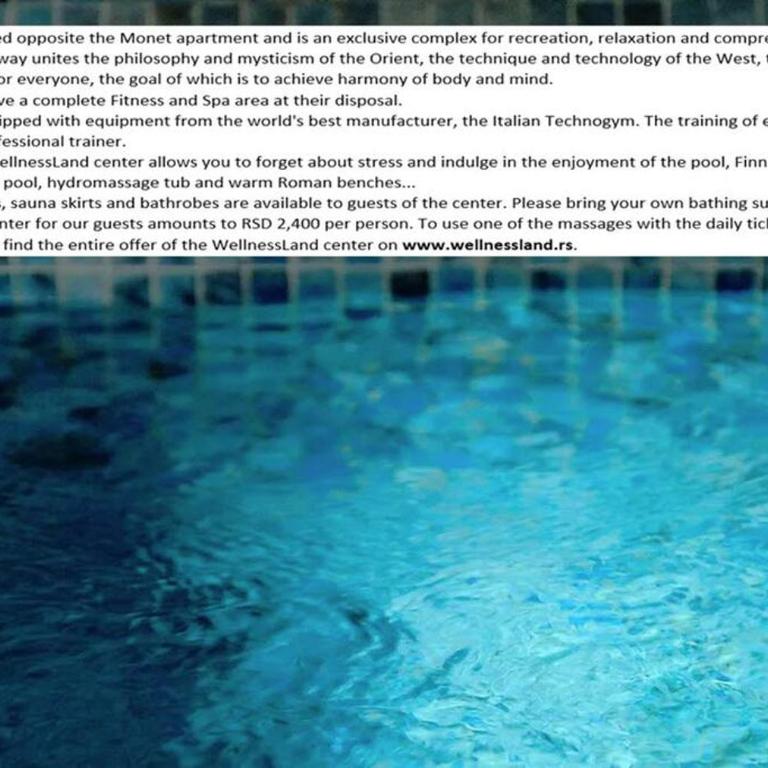 Monet Business Grade Apartment: ideal for Digital Nomads, MedTourist, Wellness - Apartman sa 1 Spavaćom Sobom - 17