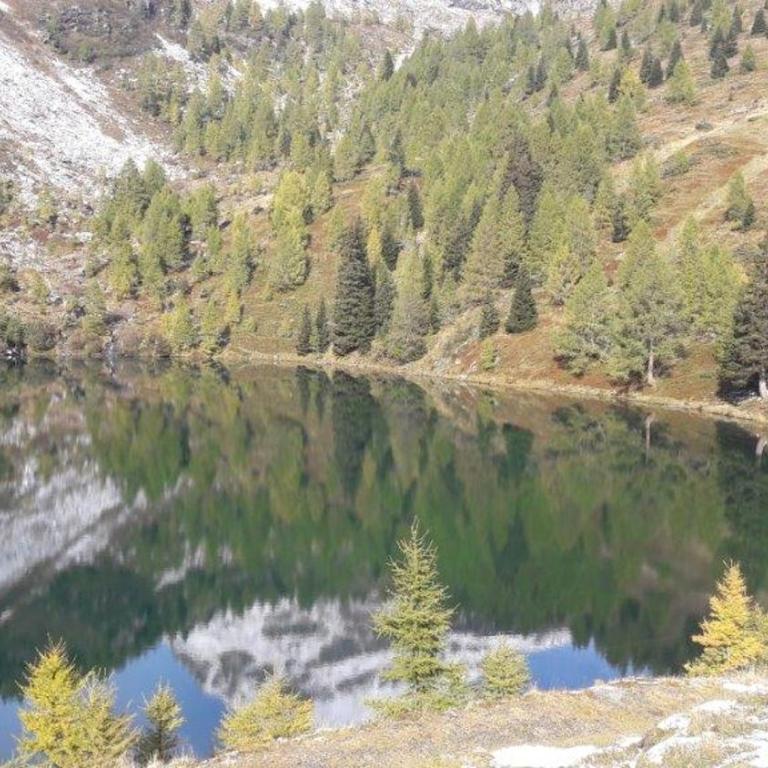 Almhütte am Wirpitschsee - Haus mit 3 Schlafzimmern - 10