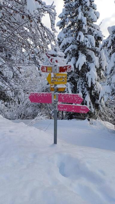 Comfortable apartment near the ski station with parking - Apartment mit 2 Schlafzimmern - 24