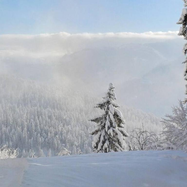 Comfortable apartment near the ski station with parking - Apartment mit 2 Schlafzimmern - 22