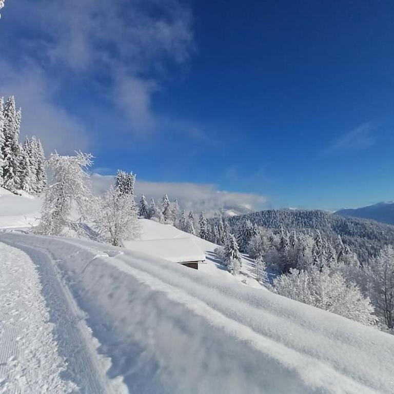 Comfortable apartment near the ski station with parking - Apartment mit 2 Schlafzimmern - 23