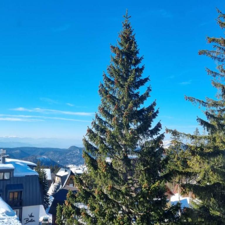 Vila Jahor - Apartmani Trifković - Apartman sa 1 Spavaćom Sobom - 22