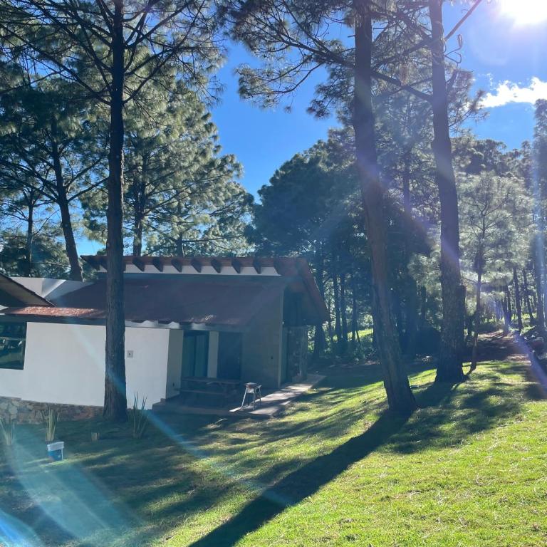 Las Nubes - Chalet Superior - 10