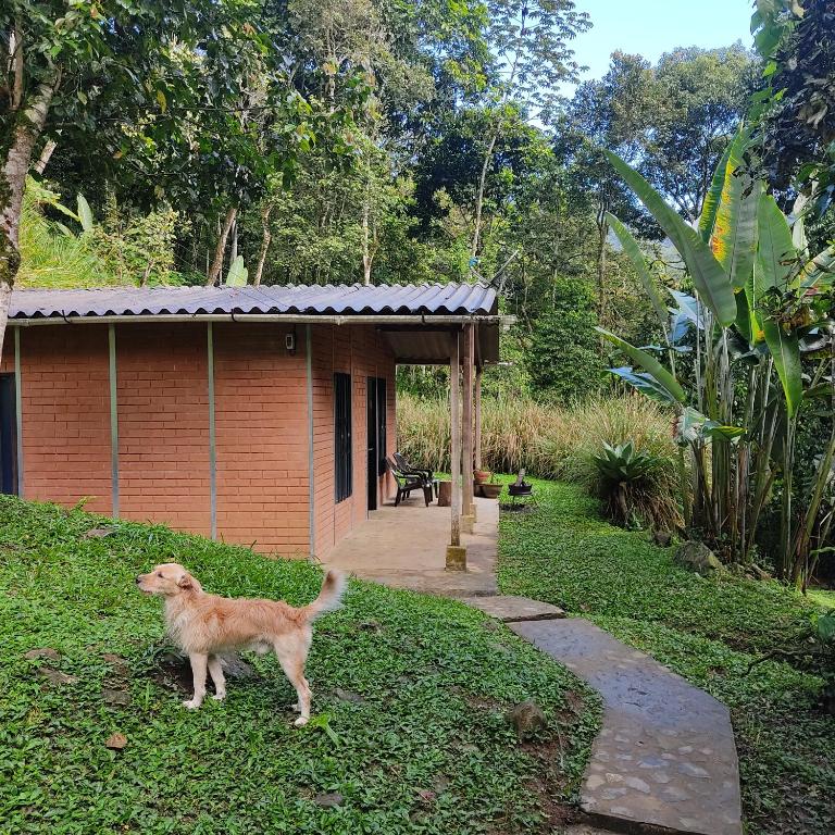 Cucú Ardilla Vivienda Campestre en Pance - Casa de 2 dormitorios - 24