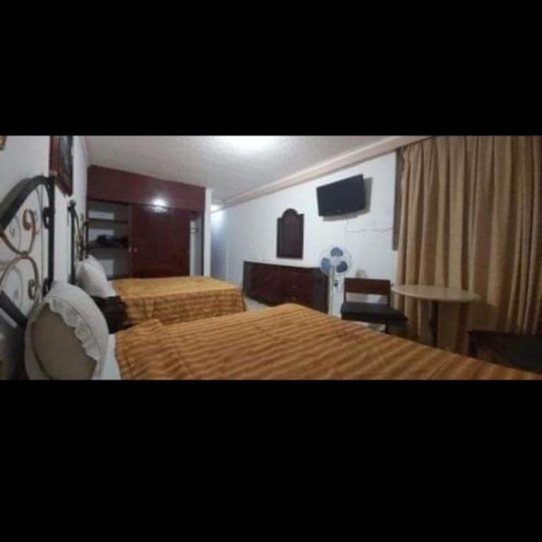 Hotel Estación Guadalajara - Twin Room - 11