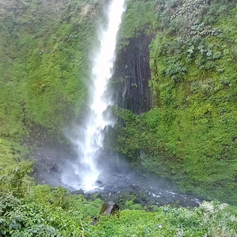 CABAÑAS BRISAS VOLCANICAS - Two-Bedroom Apartment - 10