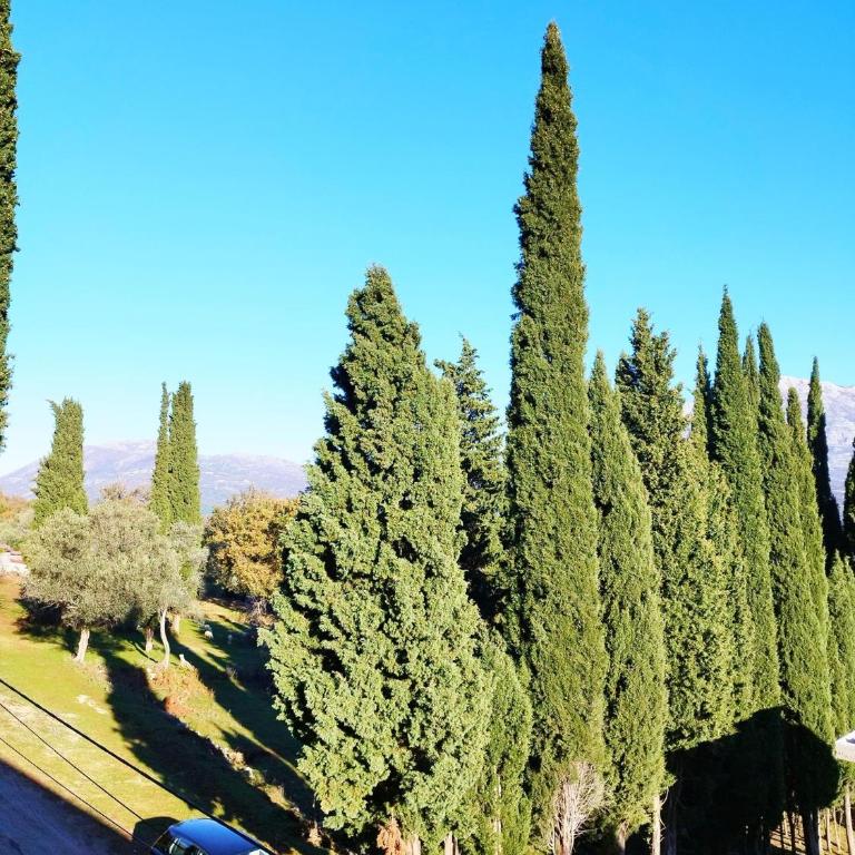 Villa Mir, Igalo, Herceg Novi - Three-Bedroom Villa - 17