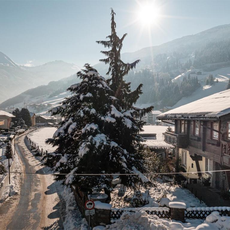 Appartment Graukogel Blick - Apartment - 33