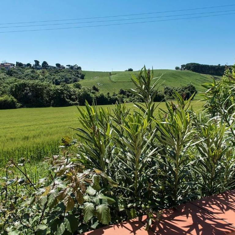 M355 - Marcelli, bilocale con giardino e parcheggio - Appartamento con 1 Camera da Letto - 9