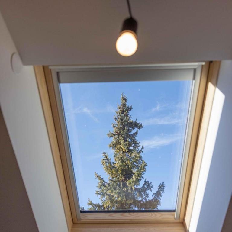 Apartmenthaus A24 - Appartamento con 1 Camera da Letto con Bagno - 12