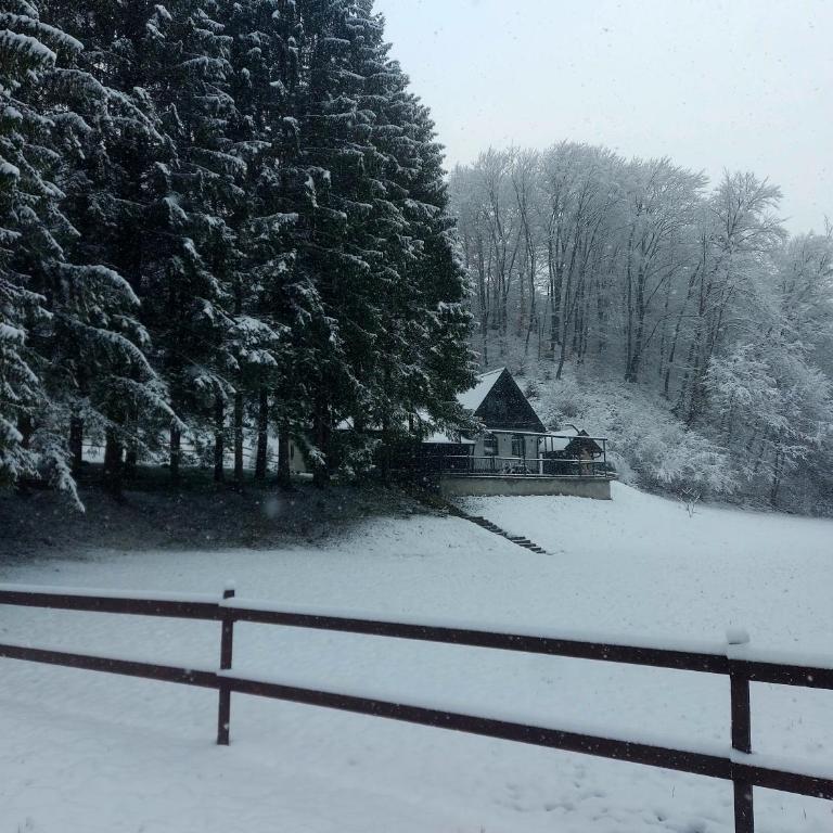 Vikendica Tuzla, Dolina mira - Vila sa 2 Spavaće Sobe - 31