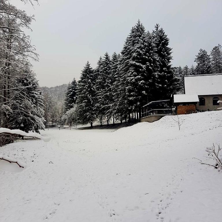 Vikendica Tuzla, Dolina mira - Vila sa 2 Spavaće Sobe - 32