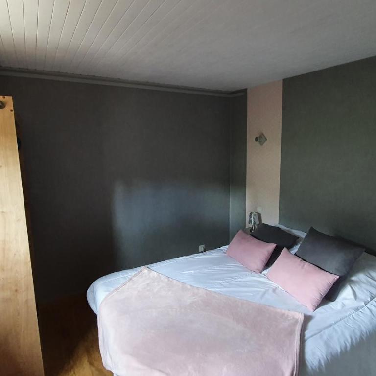 AU PETIT BONHEUR "bain nordique" - Maison 5 Chambres - 12