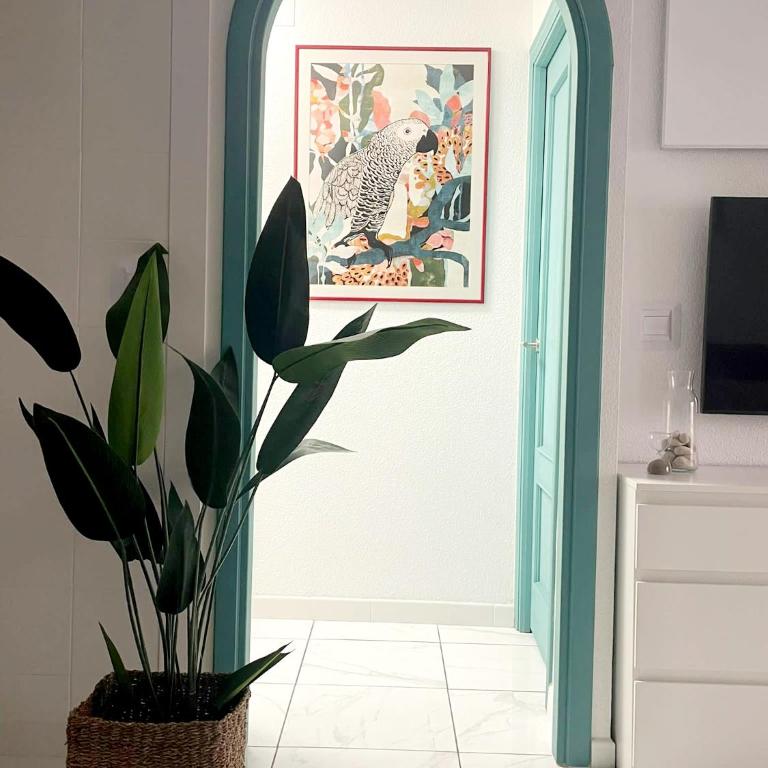 Apartament Casa Milo playa Los Locos - Apartamento de 1 dormitorio - 12