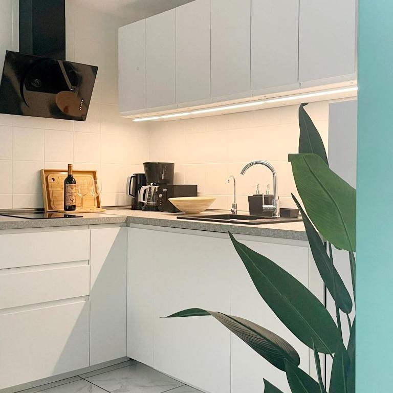 Apartament Casa Milo playa Los Locos - Apartamento de 1 dormitorio - 5