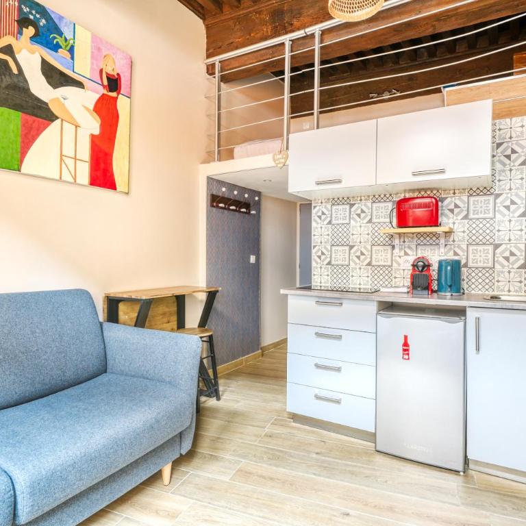 Petit Pierre - Hyper centre - Place Jacobins - Appartement 1 Chambre - 2