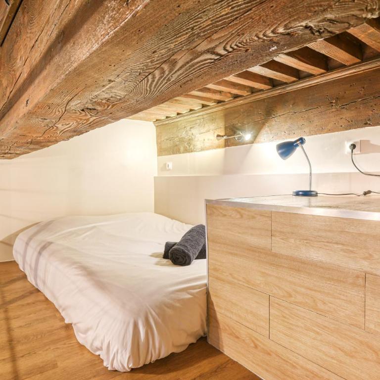 Petit Pierre - Hyper centre - Place Jacobins - Appartement 1 Chambre - 7