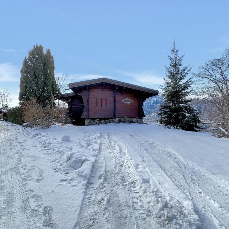 CH201 Chalet 6 Pers - Chalet - 18
