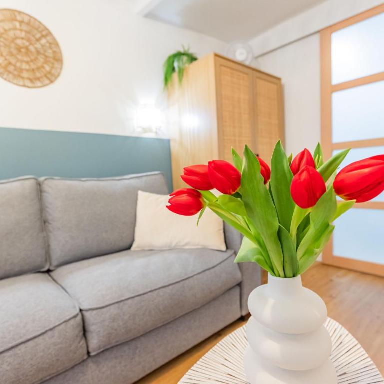 Studio cozy centre avec Parking - Appartement 1 Chambre - 5